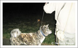 Inu, Luchs und Herrchen (Foto: Gerhard Meyer)