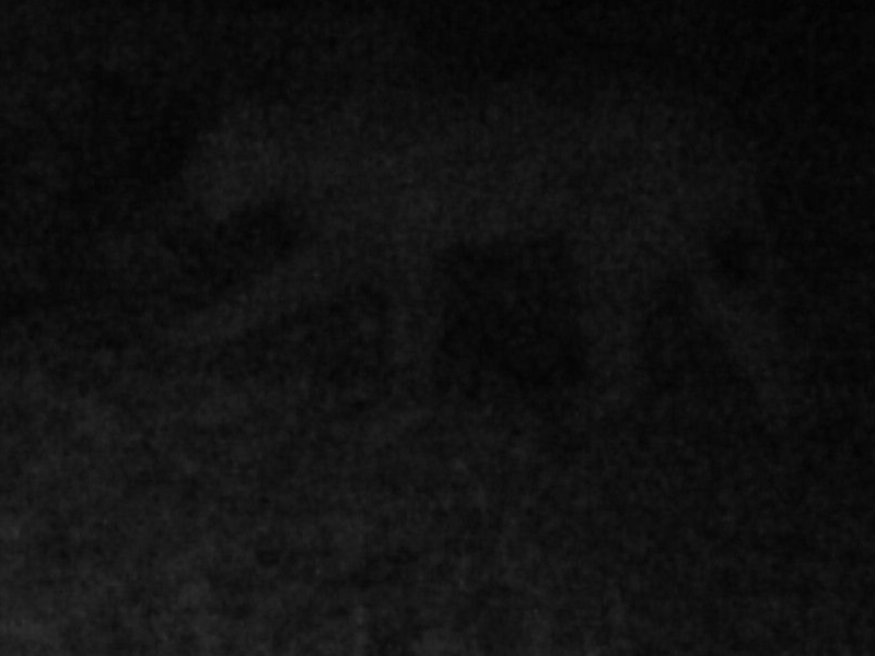 Luchs in Fotofalle im Landkreis Hersfeld-Rotenburg