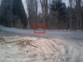 Luchs bei Sterbfritz