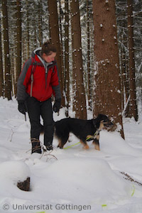 Spürhund Nara mit Hundeführerin Elena Jeß (Foto: Universität Göttingen)
