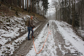 Laura Hollerbach mit Suchhund Maple (Foto: Arbeitskreis Hessenluchs)
