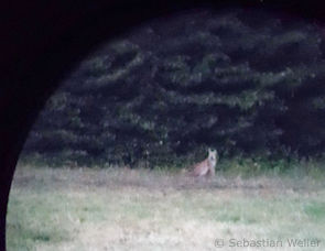 „M12“ bei Grünberg-Reinhardshain, 22.09.2018