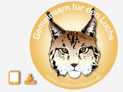 Hessischer Luchsbericht 2025 erschienen