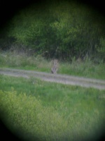 Ungefähre Route von M2 April–Dezember 2009