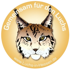 Luchs in Hessen